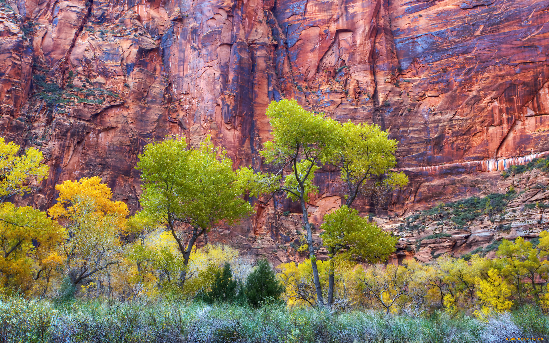 zion, fall, , , , , , 